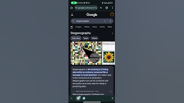 Hiding Secret Information In Plain Sight: The Art of Steganography