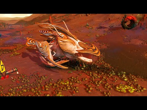 Video: Weiter In No Man's Sky: Ein Organisches Raumschiff, Das Man Aus Einem Ei Ziehen Kann