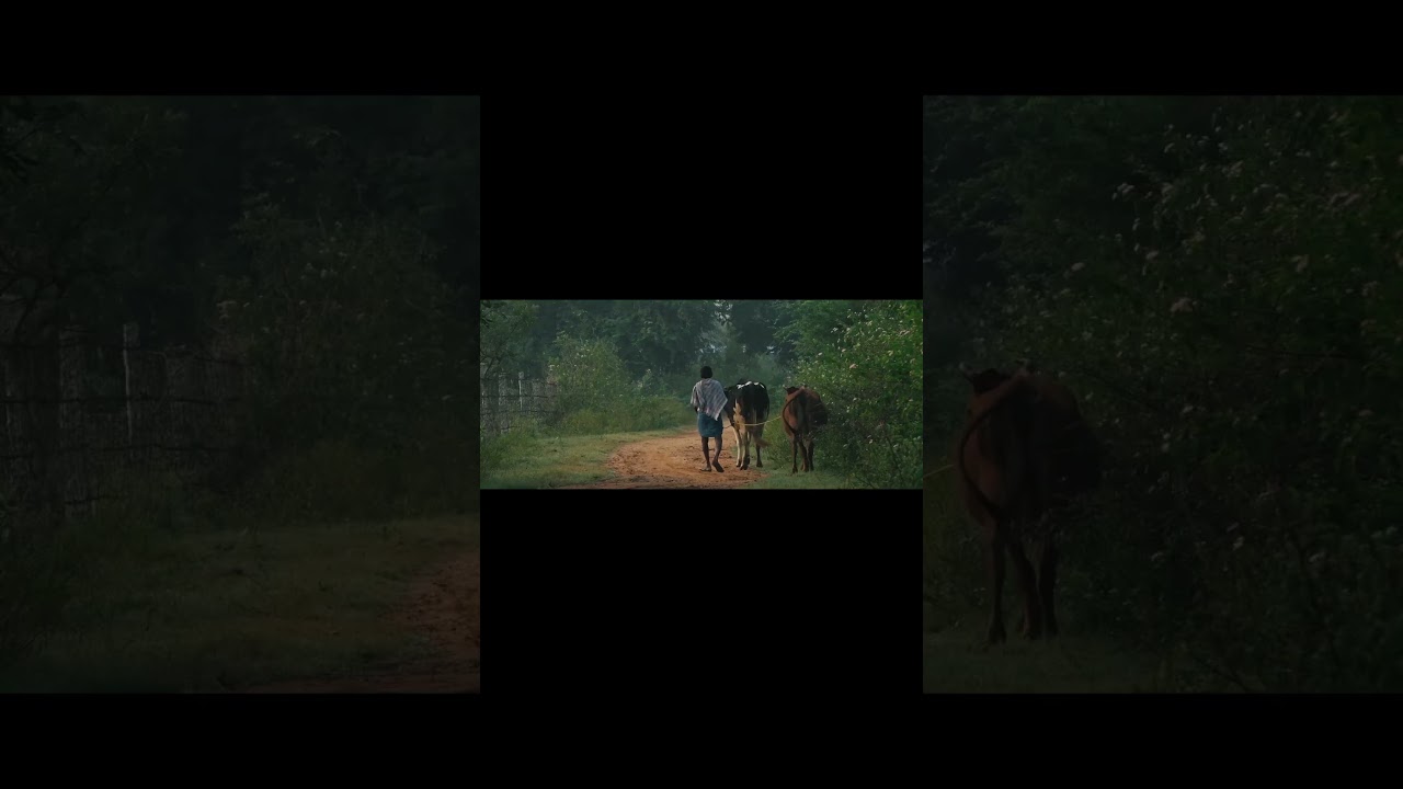 Harvest of Independence: Cultivating Dreams in Tirupati