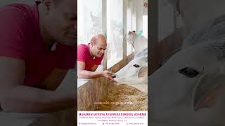 विश्‍वम्भरा गौशाला – गोसेवा ही ईश्वर सेवा