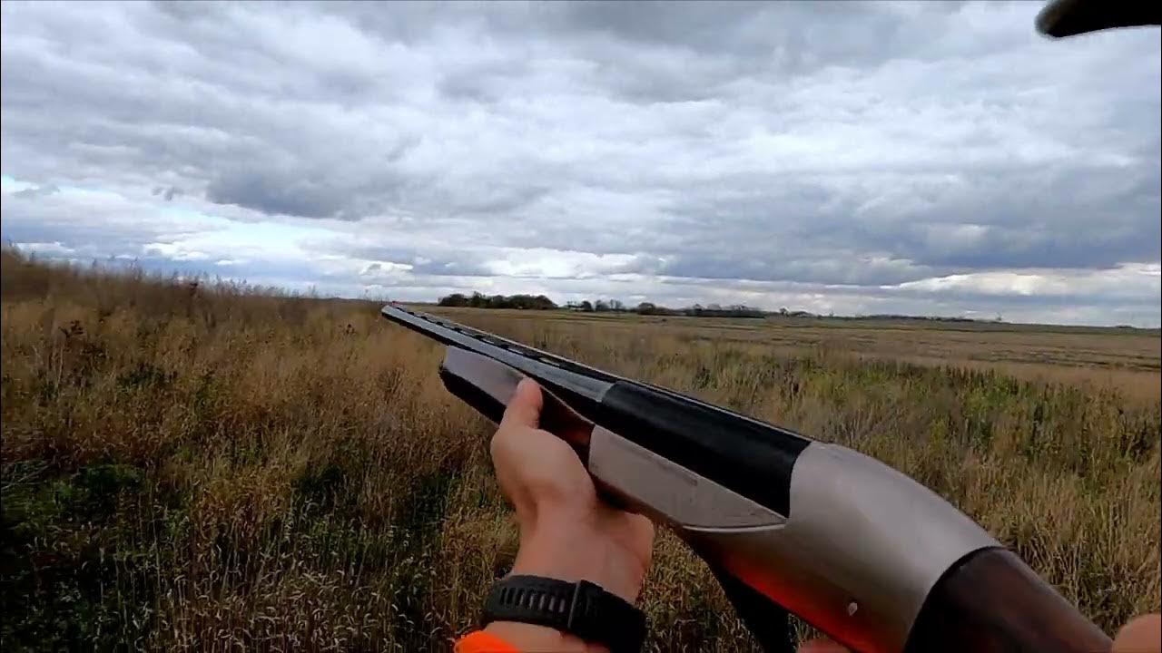 2021 ND Pheasant Opener YouTube