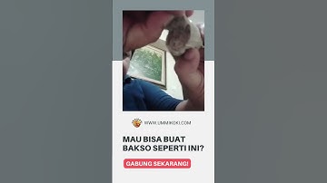 Thumbnail of Kursus Bakso Enak & Kress Online di www.ummikoki.com. Kelas Pelatihan Cara Membuat Bakso Superkress