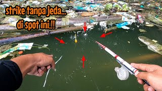 PEMANCING MANA YANG GAK NGILER LIAT VIDIO SEPERTI INI || mancing ikan red devil NAHOL MANIA