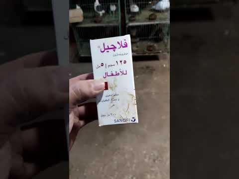 فلاچيل افضل مطهر معوى للحمام والطيور فن تربية الحمام 