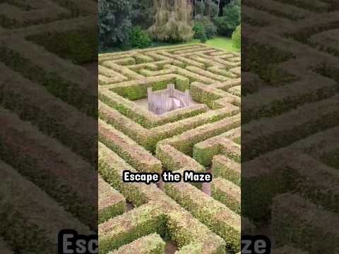 Escape the Maze #travel #shorts