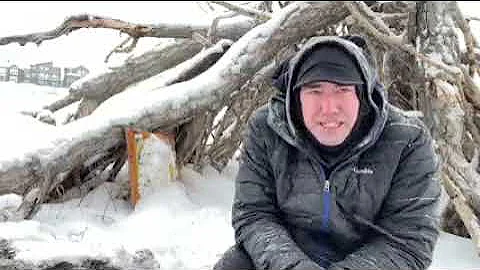 How I have cured my Trigeminal Neuralgia