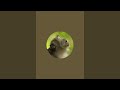 Rick Wood's Nature Aware is live! Troop Bravo welfare check