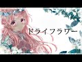 【#新人Vtuber】ドライフラワー歌ってみた【癒咲りらと】