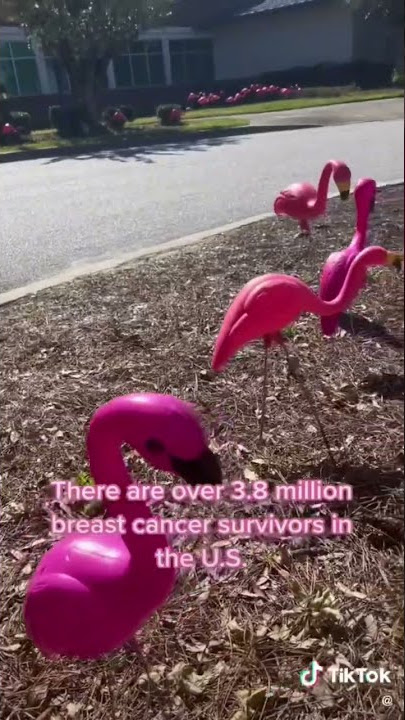 Flock the Yard for Breast Cancer Awareness Month!