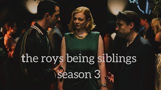 the roys being siblings season 3 [Succession]