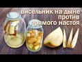 Настойки на самогоне и Дыне/ Висельник & Прямой настой на Дыне от канала Свой Среди Своих кулинария