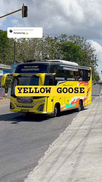 Basuri marsya slowmo🤩 #busmania #telolet #basuri #shorts