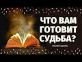 О ЧЕМ ВАМ НУЖНО ЗНАТЬ ПРЯМО СЕЙЧАС? ЧТО НА ПОРОГЕ? ЧТО ГОТОВИТ ВАМ СУДЬБА?расклад на судьбу