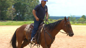 Como equilibrar em cima de um cavalo?