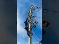 How to check the Fuse Connection? #shorts