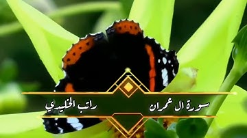 فجريات من سورة ال عمران