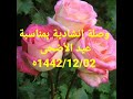 وصلة إنشادية أنشودة عين العيون محمد ويليها أنشودة نجوم الرحالة