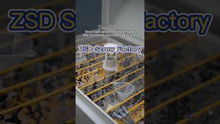 Bolt salt spray test.#screw #bolt #factory #machine #tips #industry #b2b #producer #auto #car #cnc