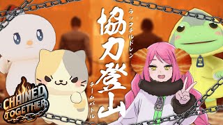 【#chainedtogether 】年末ラッコファミリー会 Bチーム【むぅたま VTuber】