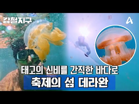 [Preview] "It feels like I'm in a dream" An underwater festival shown by the equatorial sea! A fe...
