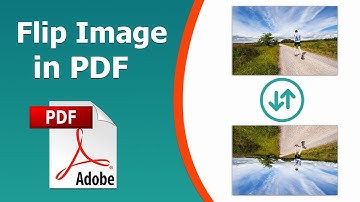 How to flip image in pdf using Adobe Acrobat Pro DC 2022