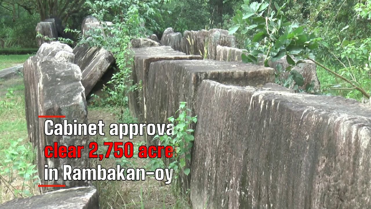 News 1st at the forefront of protecting the environment