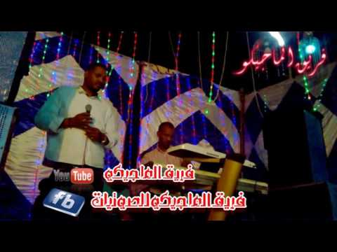 فريق الماجيكو الفنان ميدو جلال حفلة صحارى 