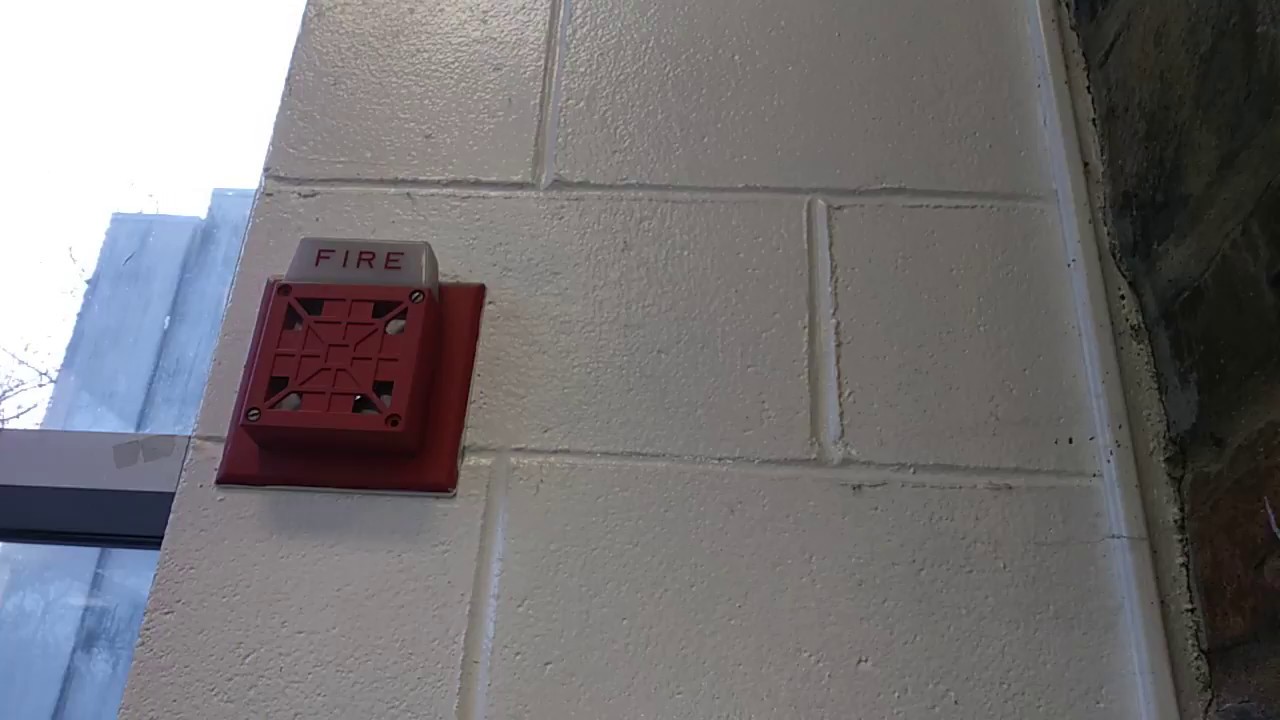 Wheelock 7002t Fire Alarm - YouTube
