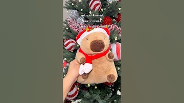 Website: CapyPlush.Store ! Link 🔗 in Bio ‼️ Send this to your parents 💕 #capybara #christmas