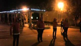 KDChi probate Fall 2010