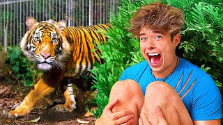 LOCKED IN A TIGER CAGE FOR 24 HOURS!!