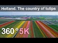 360, Holland. The country of tulips. 5K aerial video