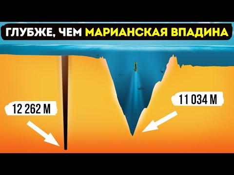 Видео: Какая самая большая среда обитания на Земле?