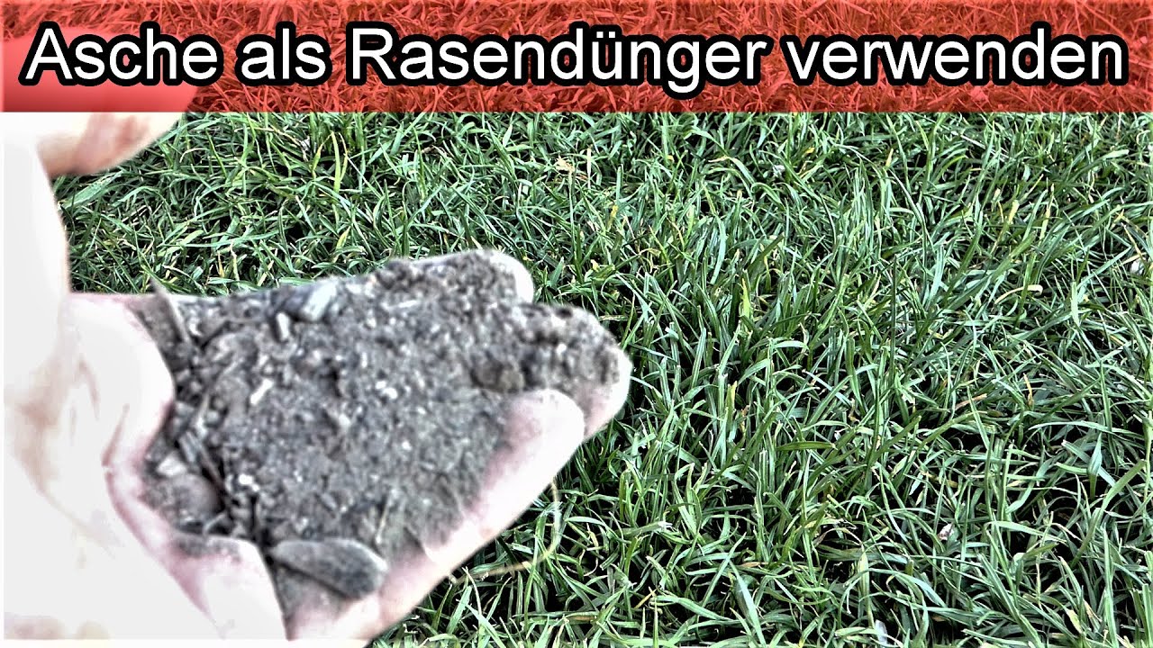 Rasen mit Asche im Garten düngen - Asche als Rasendünger ...