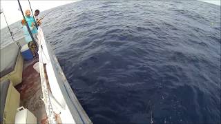 Nathan reeled in this huge king mackerel aboard the breakaway cruises
deep sea fishing. that fish gave him an awesome fight. it was taking a
lot of line but ...