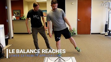 Dynamic leg reaches with Visual Feedback