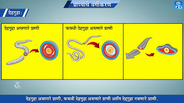 10th Science 2 | Chapter#06 | Topic#04 | शारीरिक सममिती | Marathi Medium