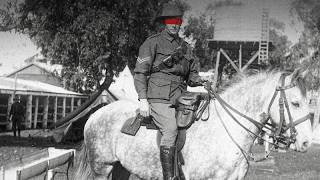 "No Swords? Use Bayonets" — The Insane Australian Cavalry Charge That Shocked The World