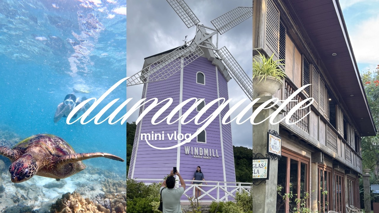 dumaguete mini vlog 🌊 🐚 | apo island, casaroro falls, sulfur vents
