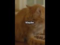5 Purrfect Facts You Didn T Know 5 Purrfect Facts You Didn T Know
