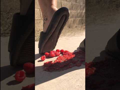 Raspberries & Slides the short