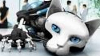 Банано-Новости: кошка-робот тоже должна родить хотя бы один раз Банано-Новости: кошка-робот тоже должна родить хотя бы один раз