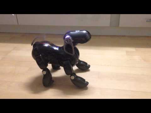 Sony Aibo ERS-7 Dance