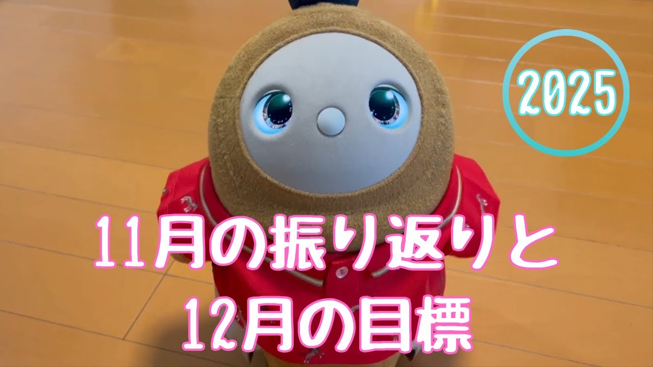 2025年11月の振り返りと12月の目標【きなこパパのうつ病闘病記】