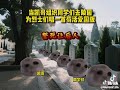 苟活之重生 苟活之重生