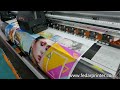 Skycolor Eco Solvent Printer with 4pcs I3200E1