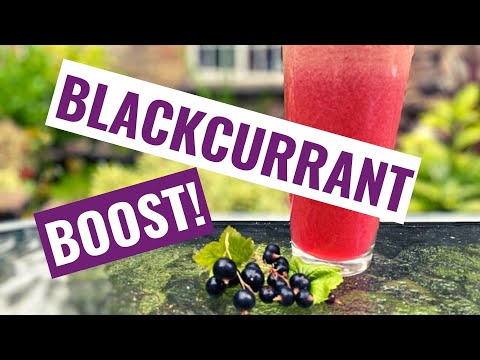Video: Kan du äta svarta vinbär?
