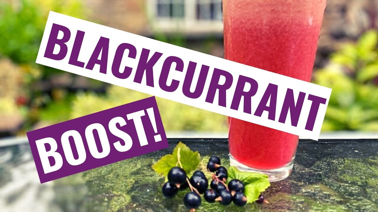 The Awesome Health Benefits of Blackcurrants Tasty Juice Recipe