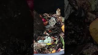Amish 5-Minute Compost Method This Amish Compost Trick Works In 5 Minutes