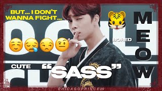 SWEET🍓 SOUR🍋 SPICY🌶 MEOWWW~🐯 | JOHNNY AND HIS 4 MOODS